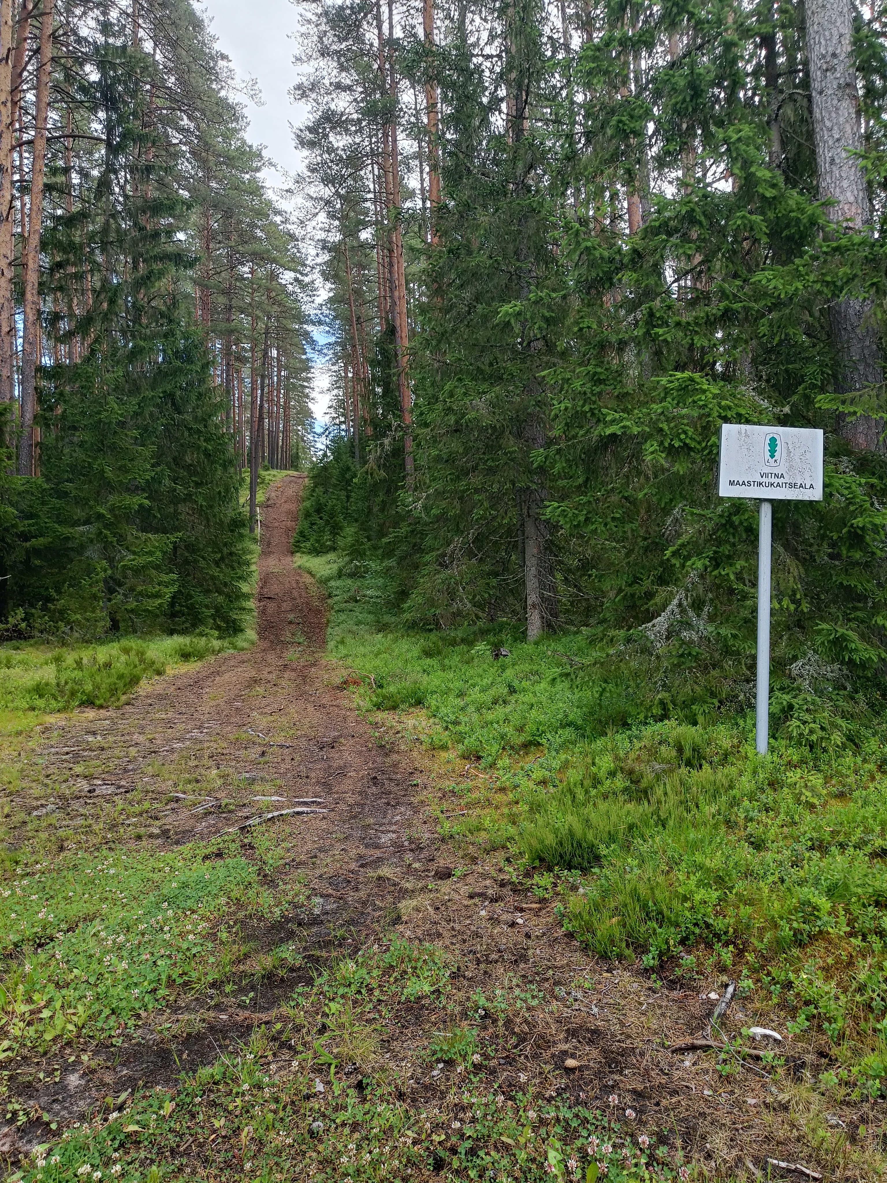 Pilt6.jpg